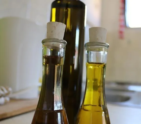 Daire By The Sea Grebastica, Sibenik - 4881